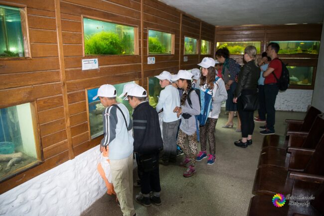 13308695_1224368850931215_3966209690622534693_o1