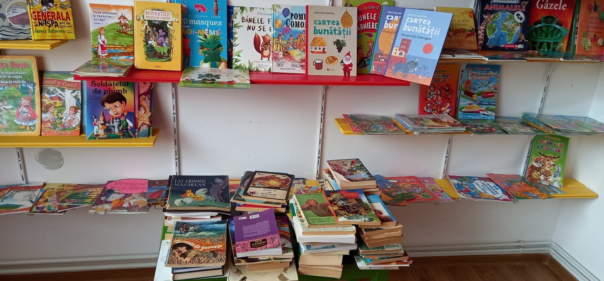 339128864_763665192003646_2527678151819478592_n